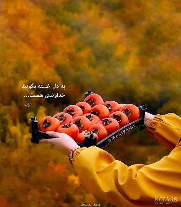 عکس پروفایل سنگین و تیکه‌دار با جملات مفهومی و خاص - Tjoor