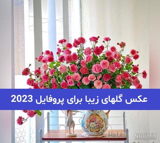 عکس پروفایل گل های قشنگ
