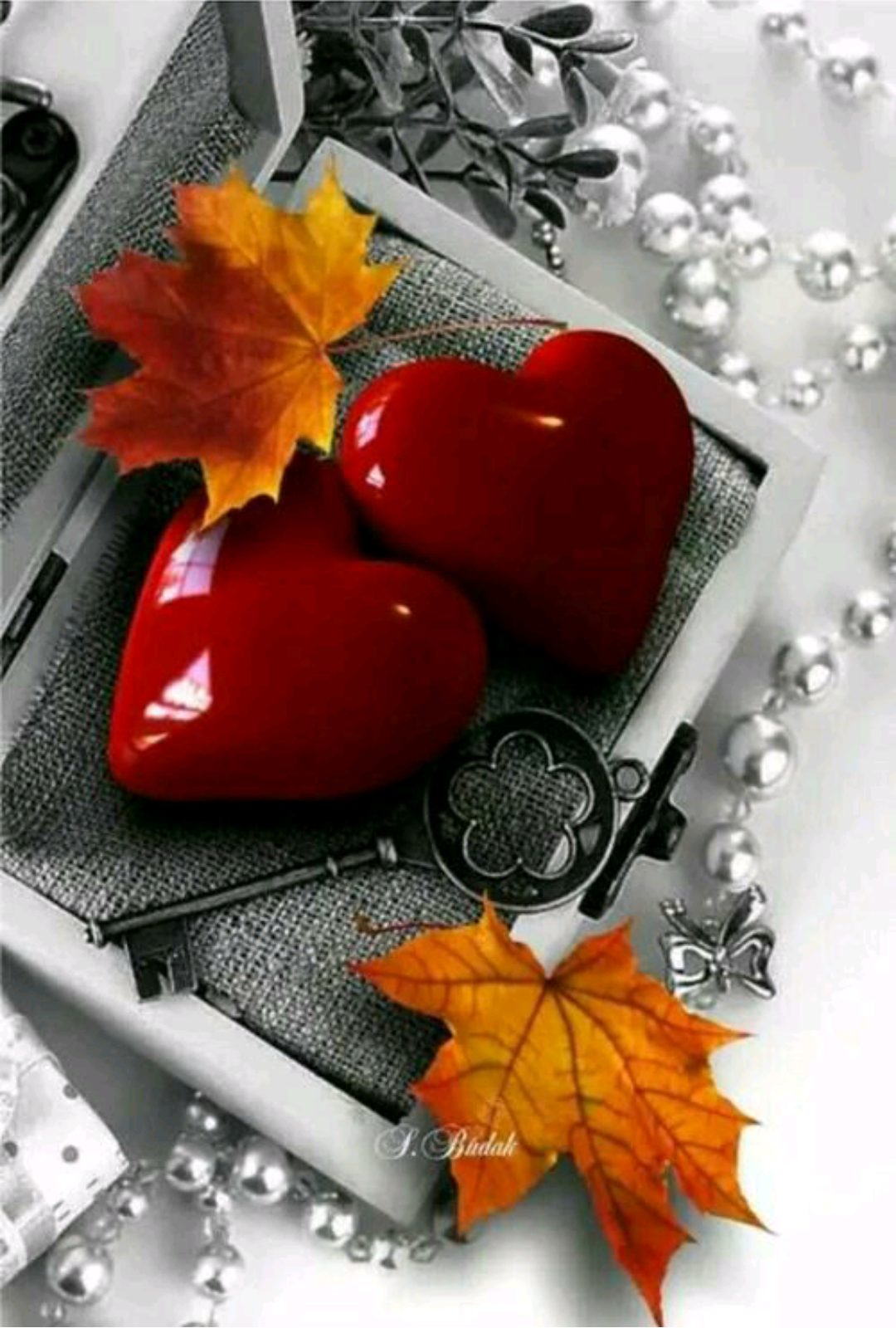 عکس های پس زمینه عاشقانه