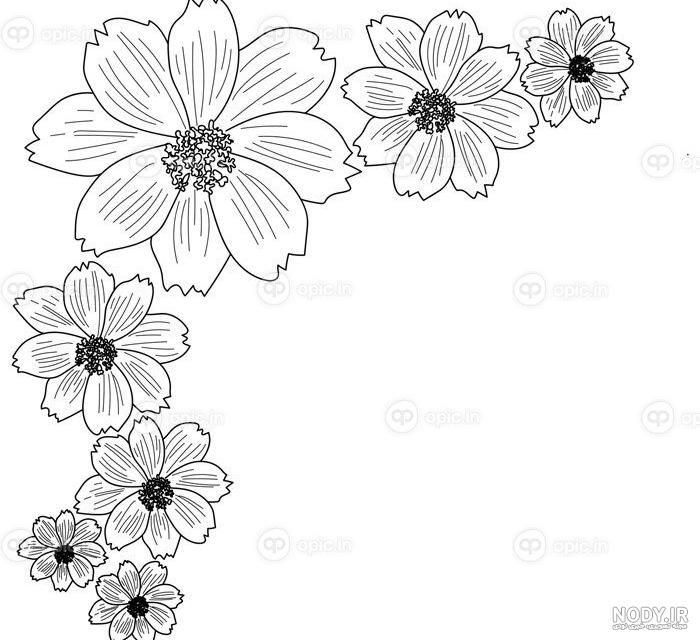 عکس گل حاشیه قاب