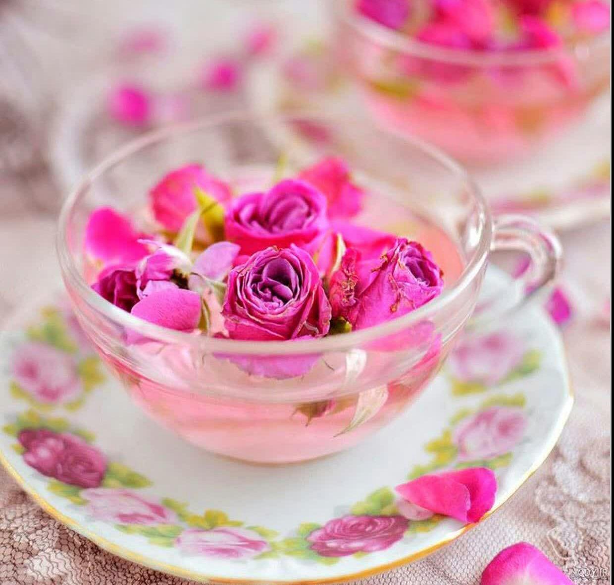عکس گل چایی ترش عکس گل چایی ترش
