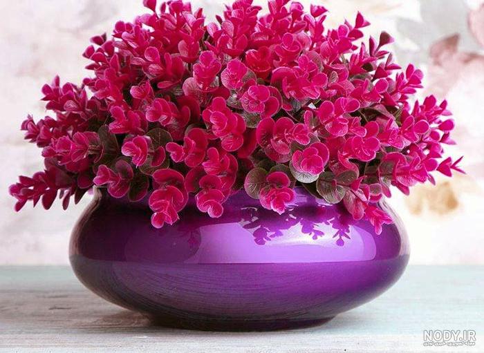 عکس گلهای بسیار زیبای جهان برای پروفایل 2022 جدید - تــــــــوپ تـــــــــاپ