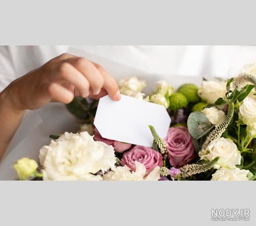 عکس گلهای زیبای بهاری برای پروفایل - عکس نودی عکس گلهای زیبای بهاری برای پروفایل - عکس نودی