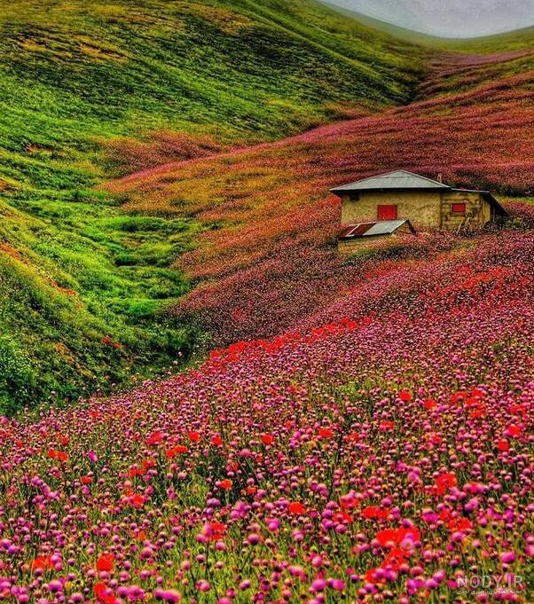 عکسهای طبیعت بهاری زیبا