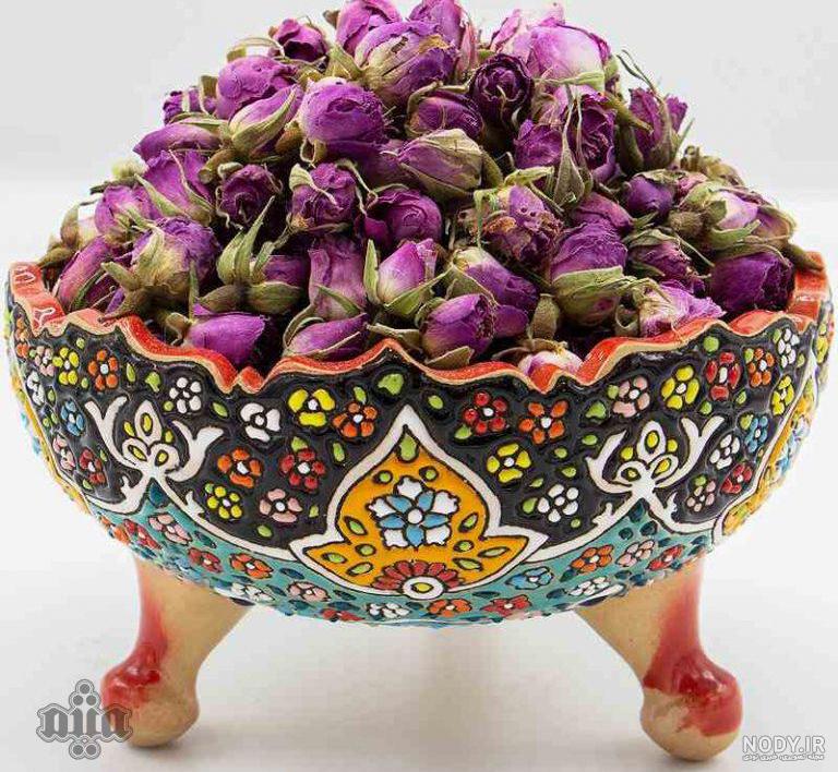 غنچه گل محمدی
