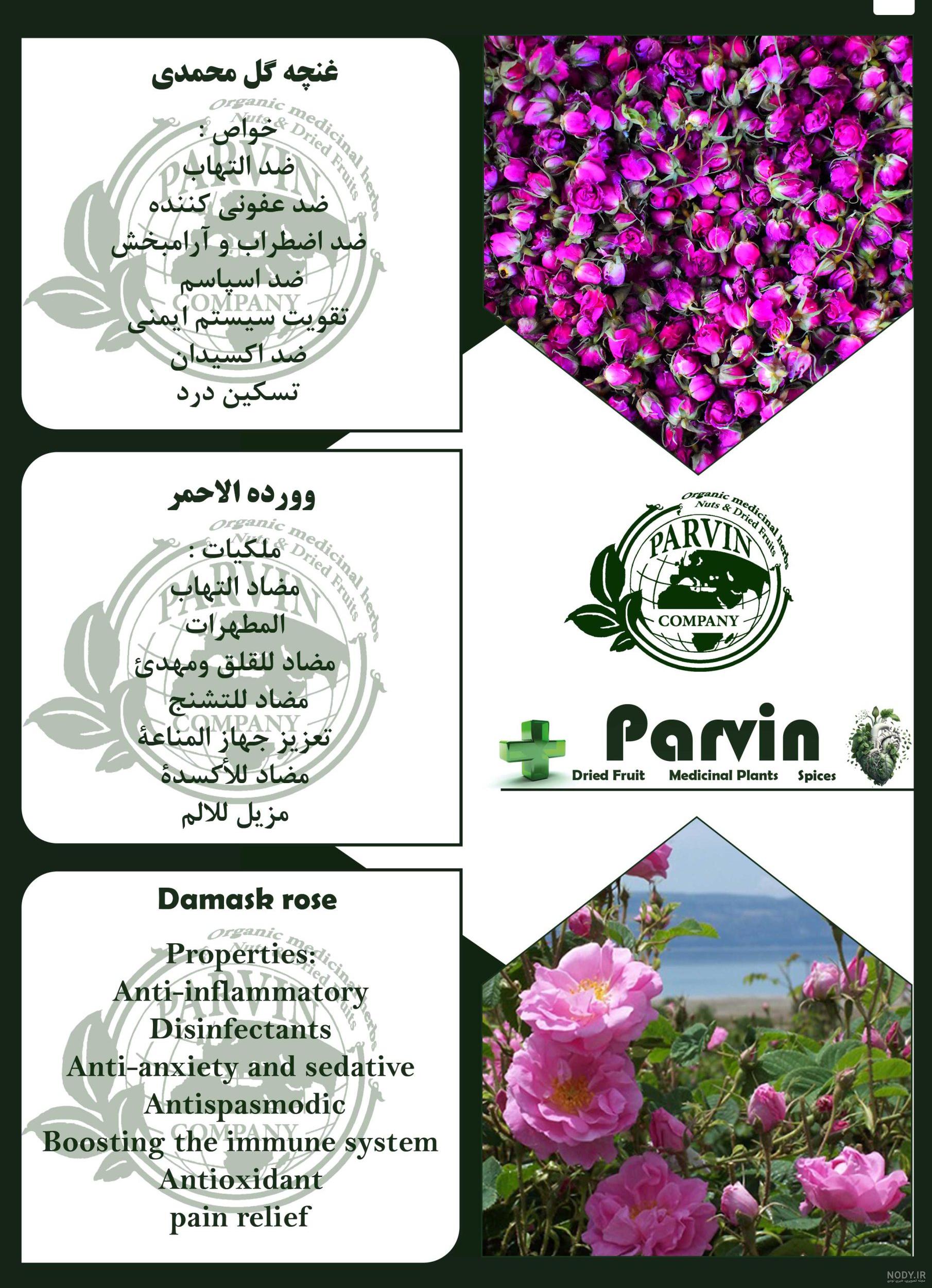 غنچه گل محمدی بهترین قیمت خرید غنچه و پودر نشده
