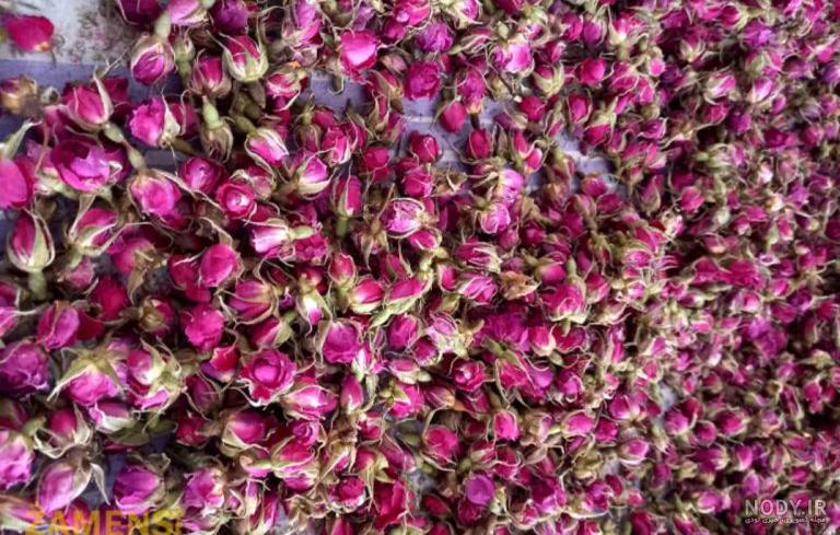 غنچه گل محمدی درجه یک - آجیل و خشکبار رضا آجیل چی و پسران