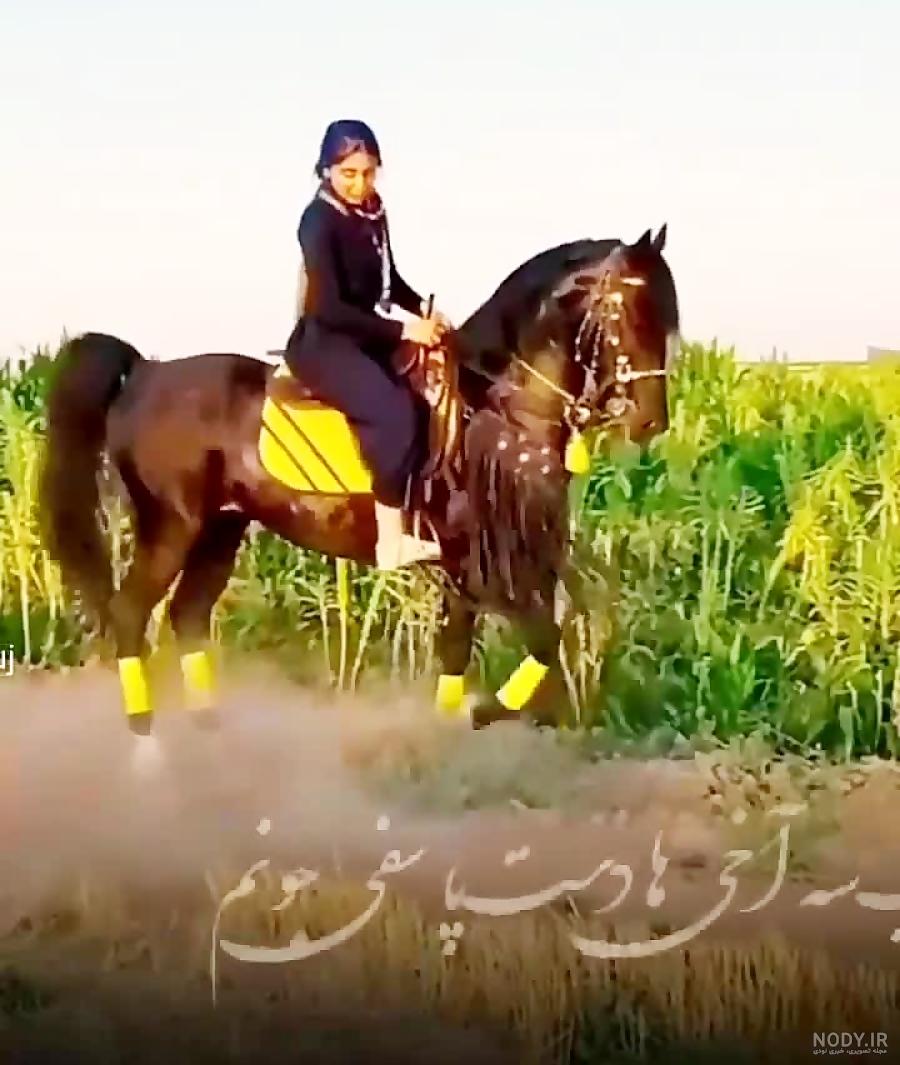 فرارو | (تصاویر) زنان عربستانی برای نخستین بار اسب سواری کردند فرارو | (تصاویر) زنان عربستانی برای نخستین بار اسب سواری کردند