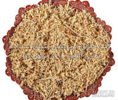 قیمت و خرید بهار نارنج خشک - 30 گرم