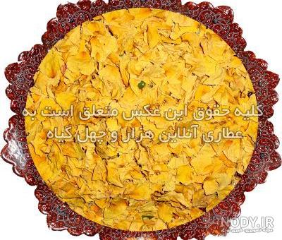 مازندران سرشار از شمیم بهار نارنج - ایرنا مازندران سرشار از شمیم بهار نارنج - ایرنا