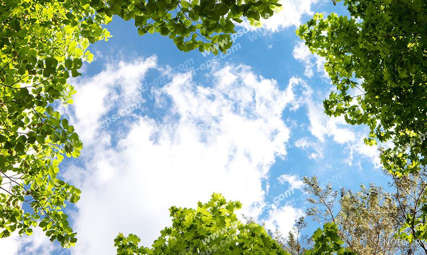 مجموعه دیدنی عکس آسمان برای پروفایل و بکگراند - ستاره مجموعه دیدنی عکس آسمان برای پروفایل و بکگراند - ستاره