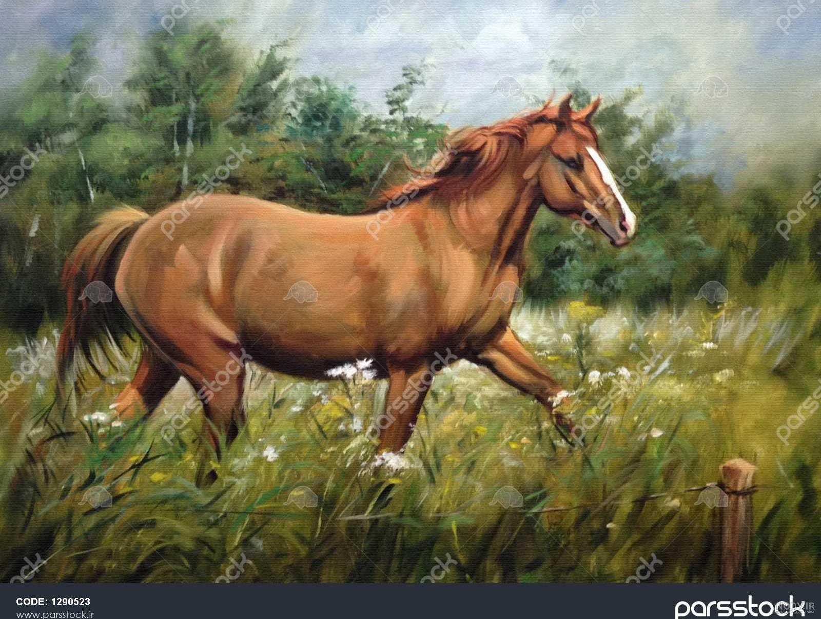 مدل نقاشی اسب سری 2 - نقاشی سمیه فتحی مدل نقاشی اسب سری 2 - نقاشی سمیه فتحی