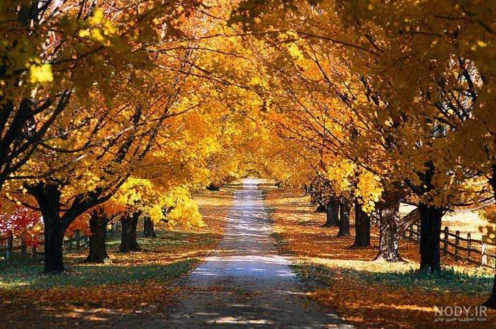 نقاشی های کودکانه از طبیعت چهار فصل برای رنگ آمیزی و ایده | جدول یاب نقاشی های کودکانه از طبیعت چهار فصل برای رنگ آمیزی و ایده | جدول یاب