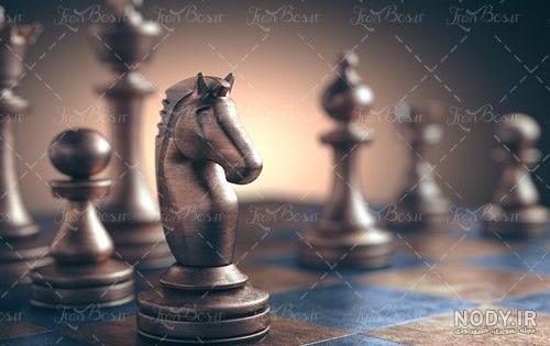پلاک اسب شطرنج – گالری طلای مینیاتور