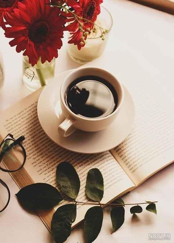 چای گل و دارچین - Ghazal Cafe چای گل و دارچین - Ghazal Cafe