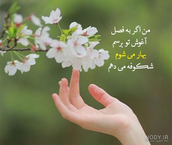 ژست عکس دونفره در طبیعت - دونفره عاشقانه جدید 2023 - تشریفینو