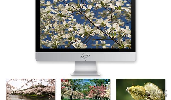 گالری تصاویر طبیعت برای تقویم (فصل بهار) گالری تصاویر طبیعت برای تقویم (فصل بهار)