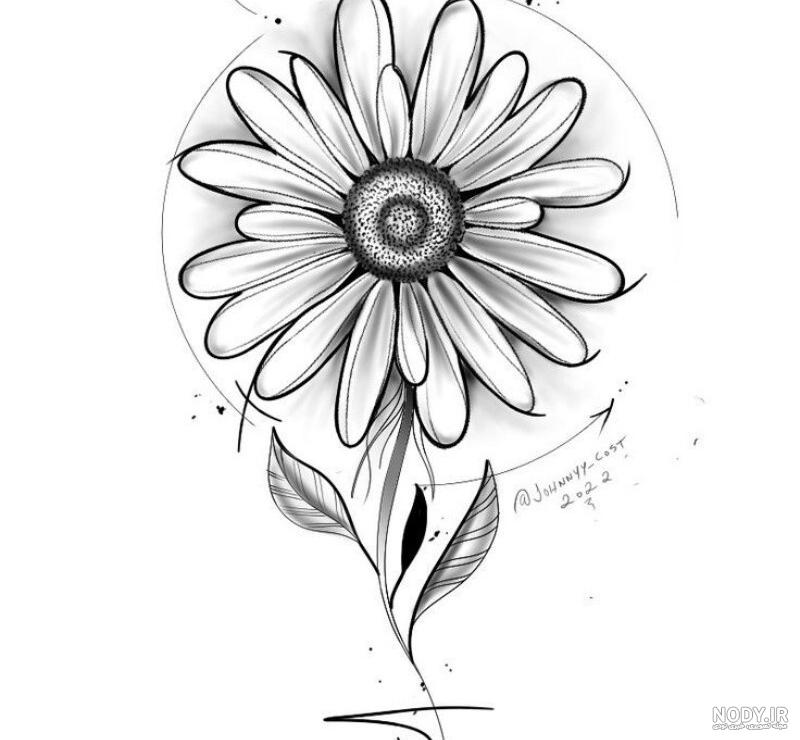 ۱۵ مدل عکس برای نقاشی سیاه قلم - ستاره ۱۵ مدل عکس برای نقاشی سیاه قلم - ستاره