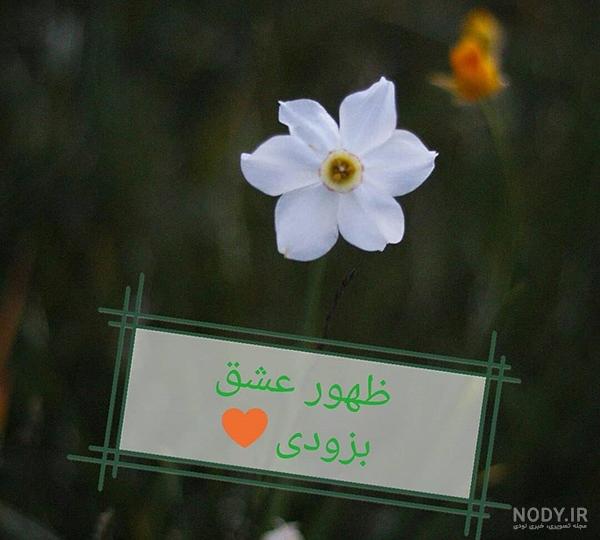 ۲۵ عکس نوشته امام زمان و ظهور صاحب العصر - ستاره ۲۵ عکس نوشته امام زمان و ظهور صاحب العصر - ستاره