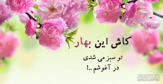 ۷۰ عکس پروفایل بهاری پرانرژی و دلنشین ۷۰ عکس پروفایل بهاری پرانرژی و دلنشین