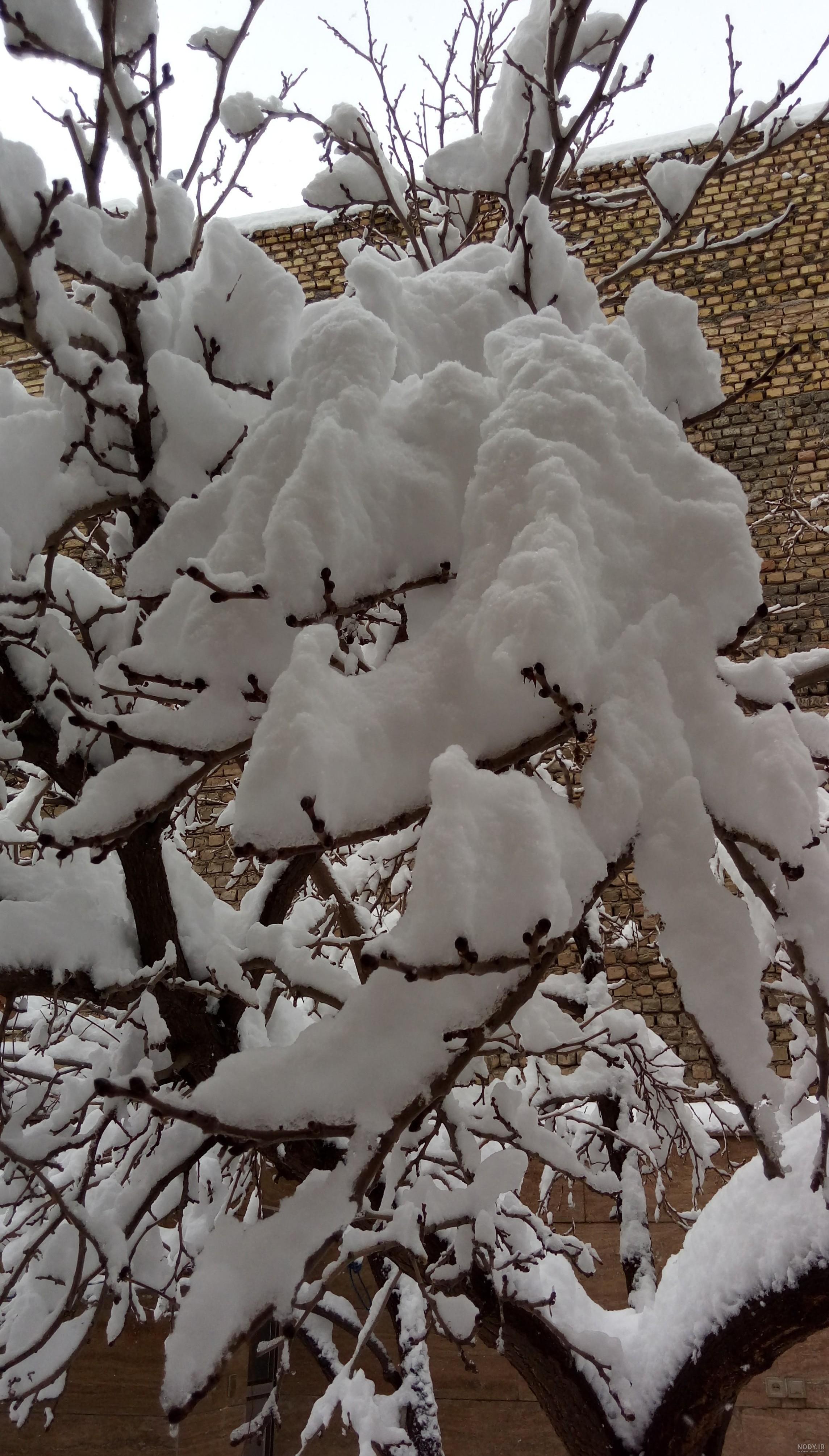 عکس خفن عکس آدم برفی واقعی زیبا