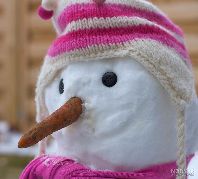 عکس آدم برفی واقعی در حیاط خانه