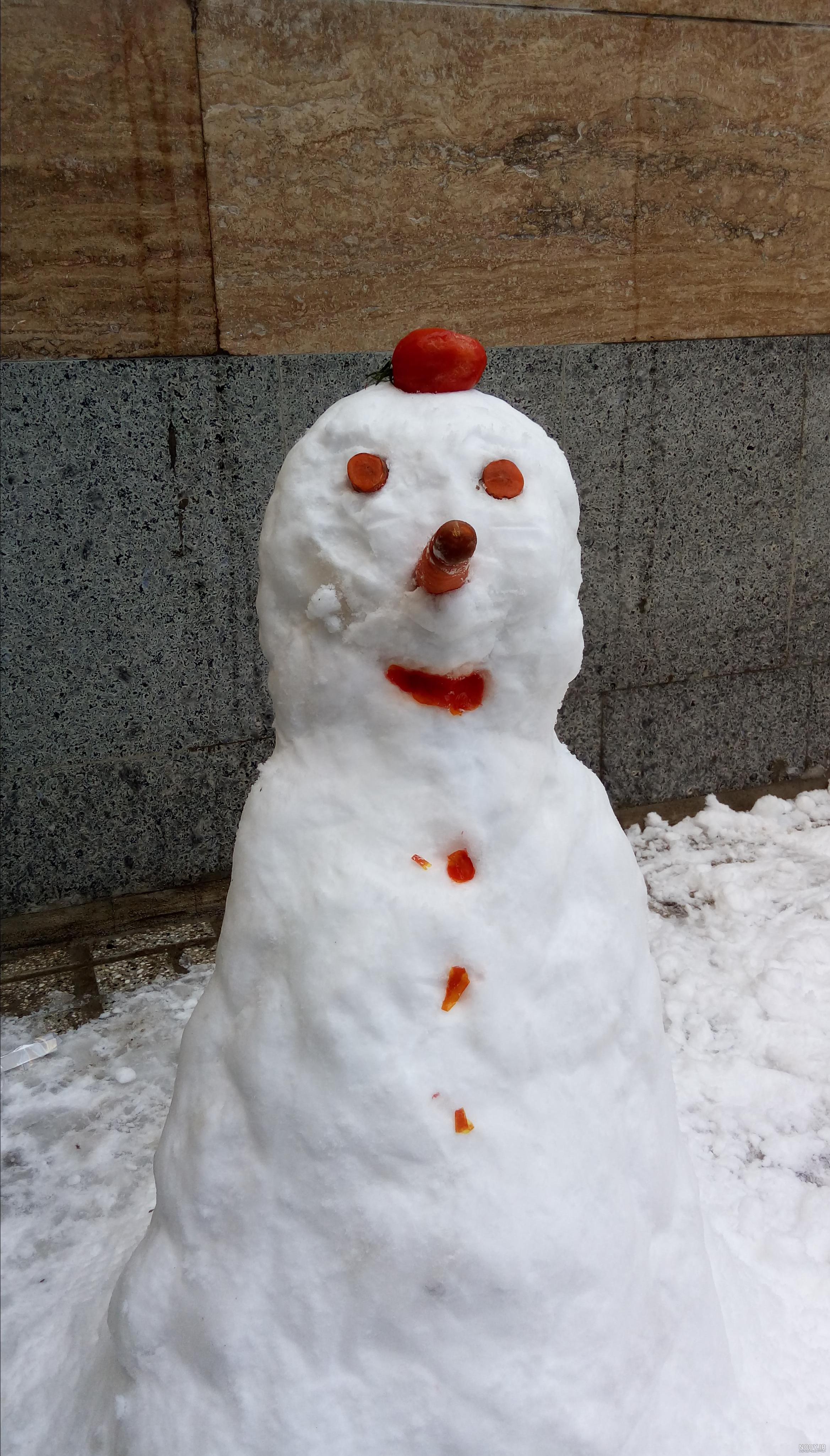 عکس آدم برفی واقعی در حیاط خانه