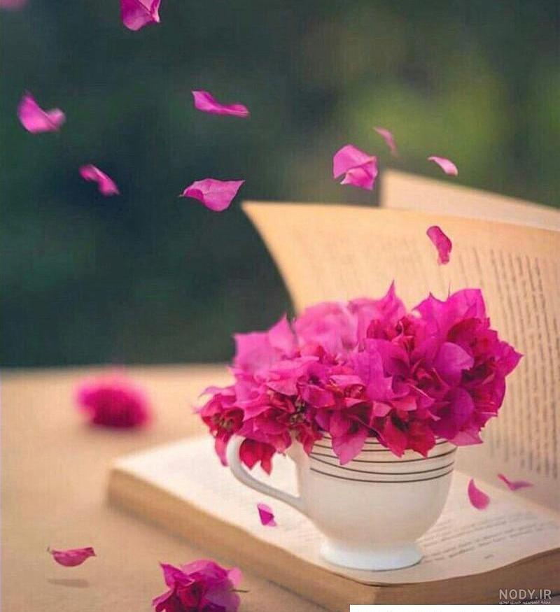 عکس خفن عکس پروفایل شاد و پر انرژی بدون متن