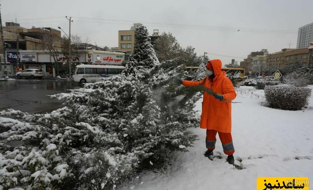 عکس آدم برفی واقعی در حیاط خانه