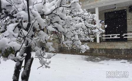 عکس خفن عکس آدم برفی واقعی زیبا