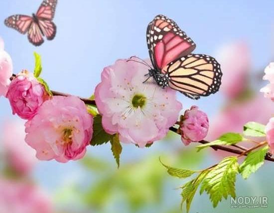 15 عکس طبیعت بهاری کیفیت بالا🌸زیباترین عکس طبیعت بهاری جدید 15 عکس طبیعت بهاری کیفیت بالا🌸زیباترین عکس طبیعت بهاری جدید