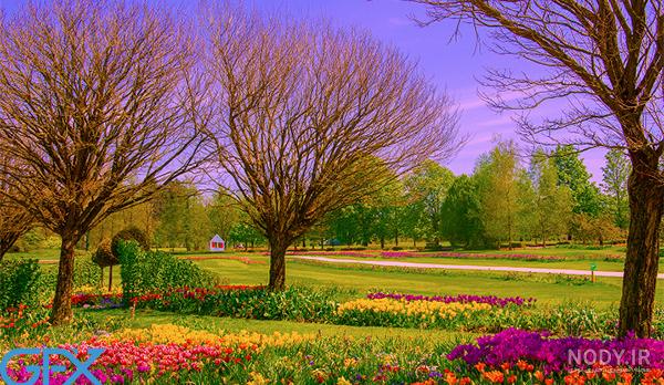 15 عکس طبیعت بهاری کیفیت بالا🌸زیباترین عکس طبیعت بهاری جدید 15 عکس طبیعت بهاری کیفیت بالا🌸زیباترین عکس طبیعت بهاری جدید