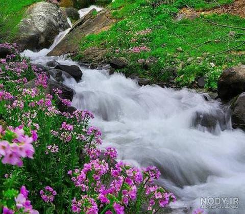 15 عکس طبیعت بهاری کیفیت بالا🌸زیباترین عکس طبیعت بهاری جدید 15 عکس طبیعت بهاری کیفیت بالا🌸زیباترین عکس طبیعت بهاری جدید