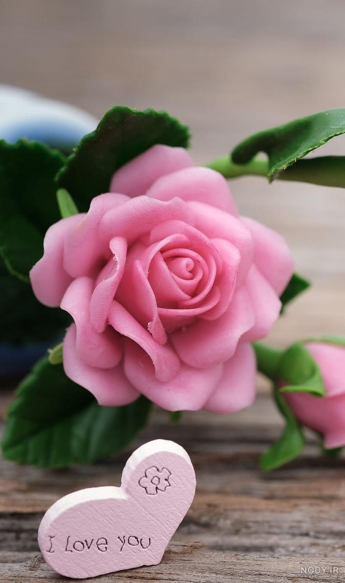 انواع عکس گل زیبا برای پروفایل