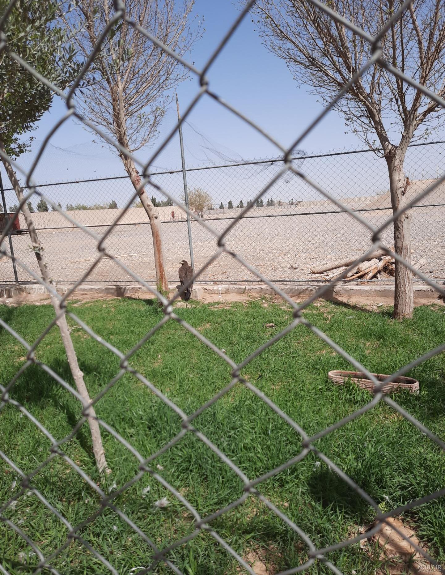 ایسنا - /گزارش تصويري/ مجتمع فرهنگي گردشگري باغ آهو سريزد مهريز ایسنا - /گزارش تصويري/ مجتمع فرهنگي گردشگري باغ آهو سريزد مهريز
