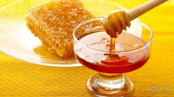 برداشت عسل طبیعی از دل کوه‌های باشت+تصاویر