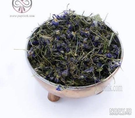 تاثیرات مفید گیاه بنفشه