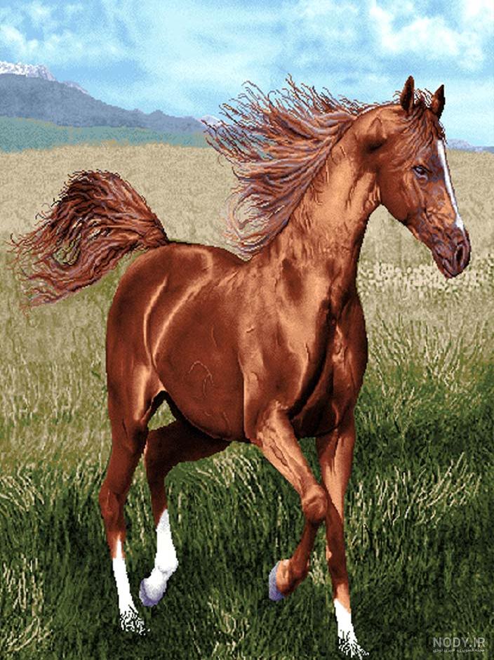تعبیر خواب اسب قهوه ای چیست و معنی دیدن اسب قهوه ای در خواب - فال و خواب تعبیر خواب اسب قهوه ای چیست و معنی دیدن اسب قهوه ای در خواب - فال و خواب