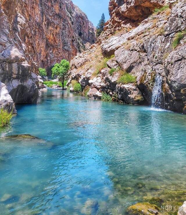 روستای پلور | آدرس ، عکس و معرفی (1403) ☀️ کارناوال روستای پلور | آدرس ، عکس و معرفی (1403) ☀️ کارناوال