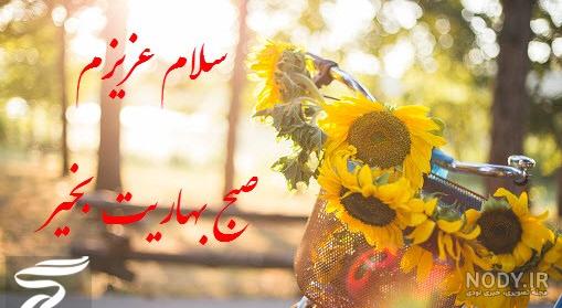 سلام صبح بخیر عاشقانه❤️+ متن صبح بخیر زیبا برای عشقم • مجله تصویر زندگی
