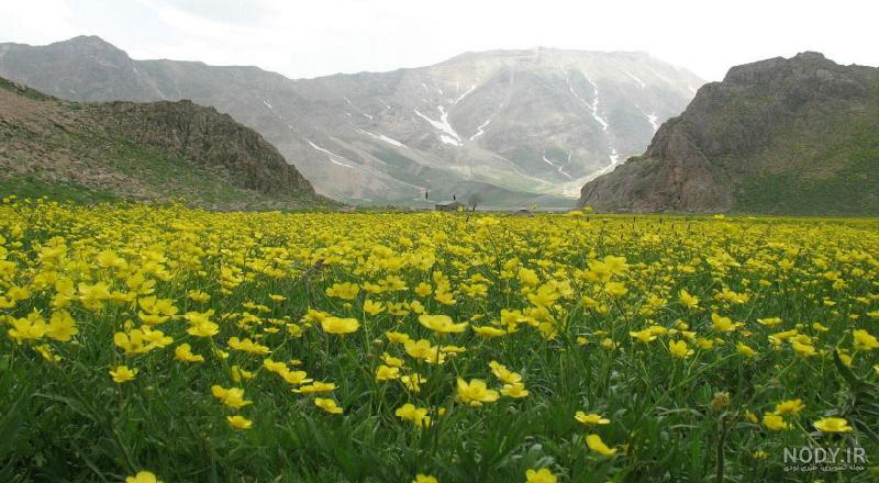 شمال کجا بریم ؟ | معرفی 93 تا از بهترین جاهای دیدنی شمال (۱۴۰۳) ایران با عکس و آدرس شمال کجا بریم ؟ | معرفی 93 تا از بهترین جاهای دیدنی شمال (۱۴۰۳) ایران با عکس و آدرس