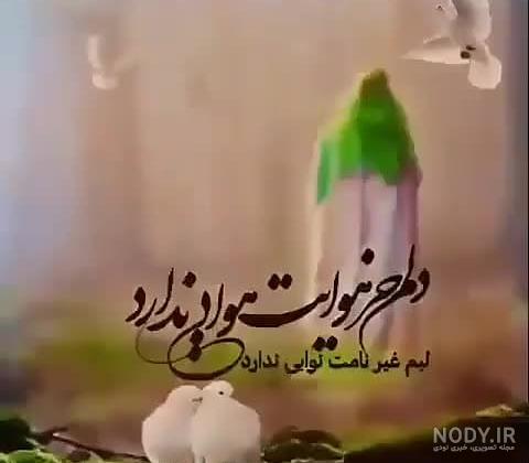 ظهور (@zohor.313.12) • هورسا