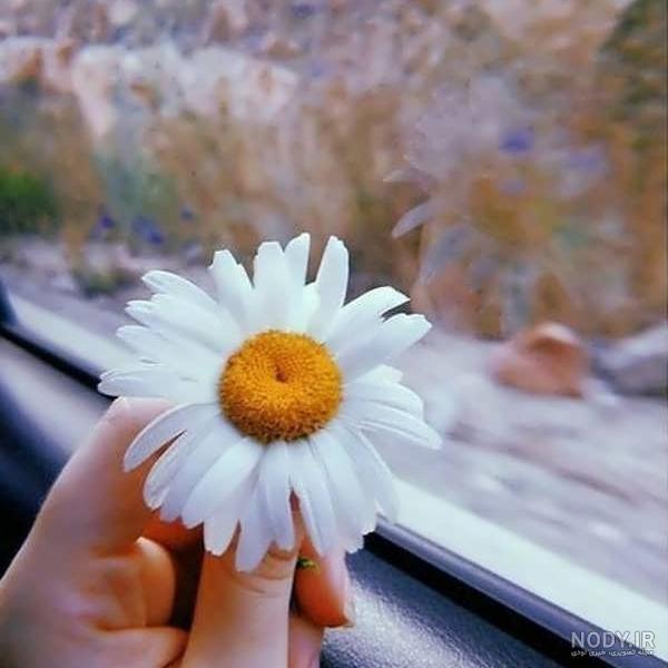 عکس های ترند برای پروفایل