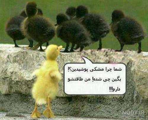 عکس دختر زشت و خنده دار عکس دختر زشت و خنده دار