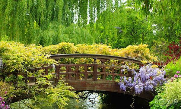 عکس طبیعت بهاری برای پروفایل عکس طبیعت بهاری برای پروفایل