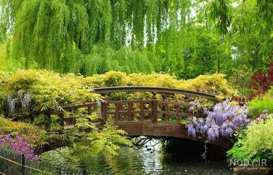 عکس طبیعت بهاری؛‌ مجموعه عکس با کیفیت و زیبای بهاری - ستاره