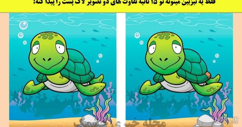 عکس لاک پشت نوزاد ❤️ [ بهترین تصاویر ]