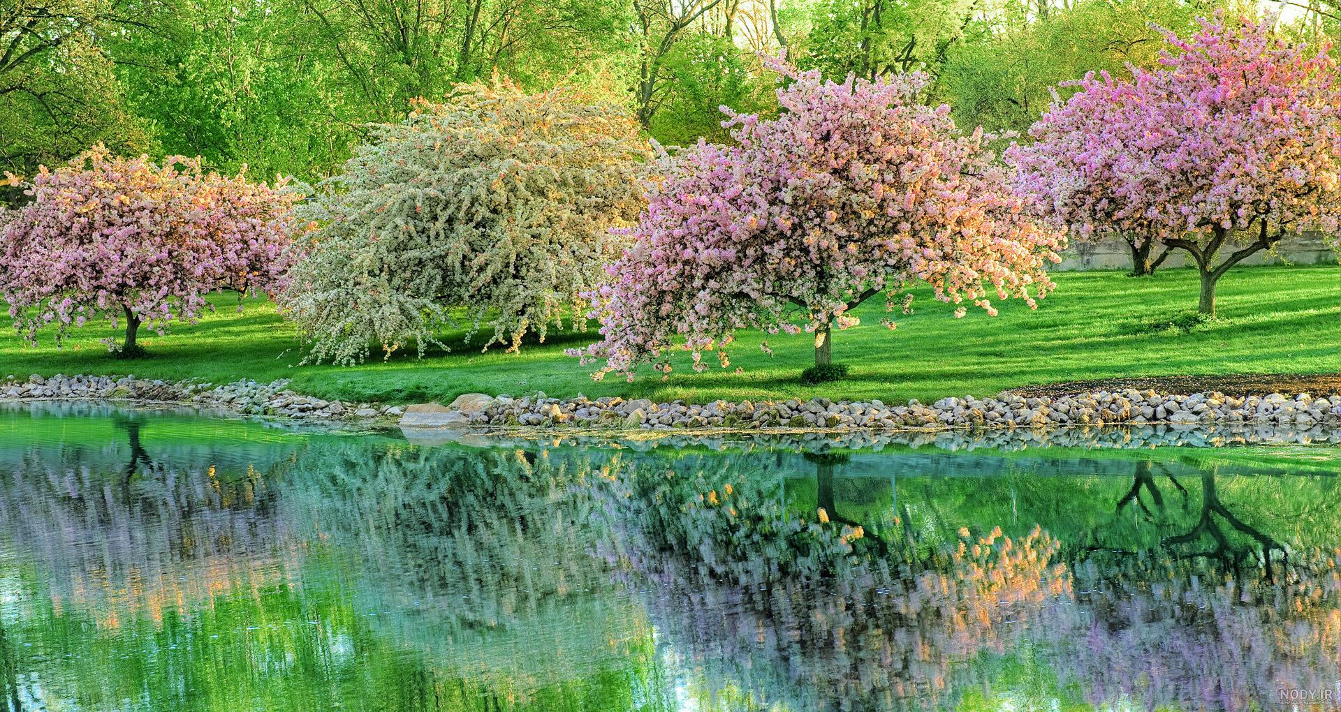 عکس منظره بهار - عکس نودی