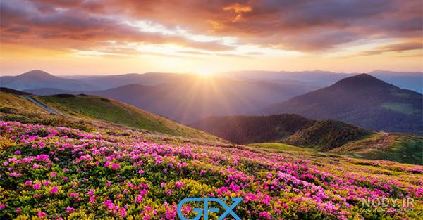 عکس منظره بهاری با کیفیت بالا