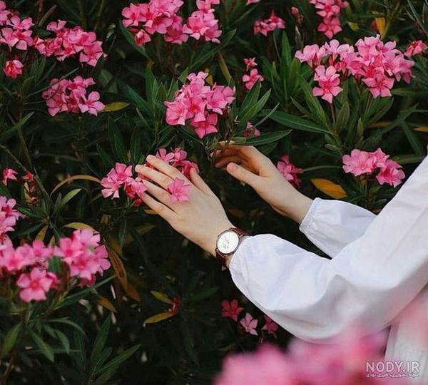 عکس پروفایل دختر چادری زیبا و مذهبی+ عکس نوشته دختر با حجاباسکیمو
